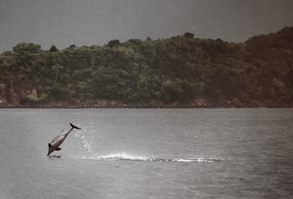 a better way to fall