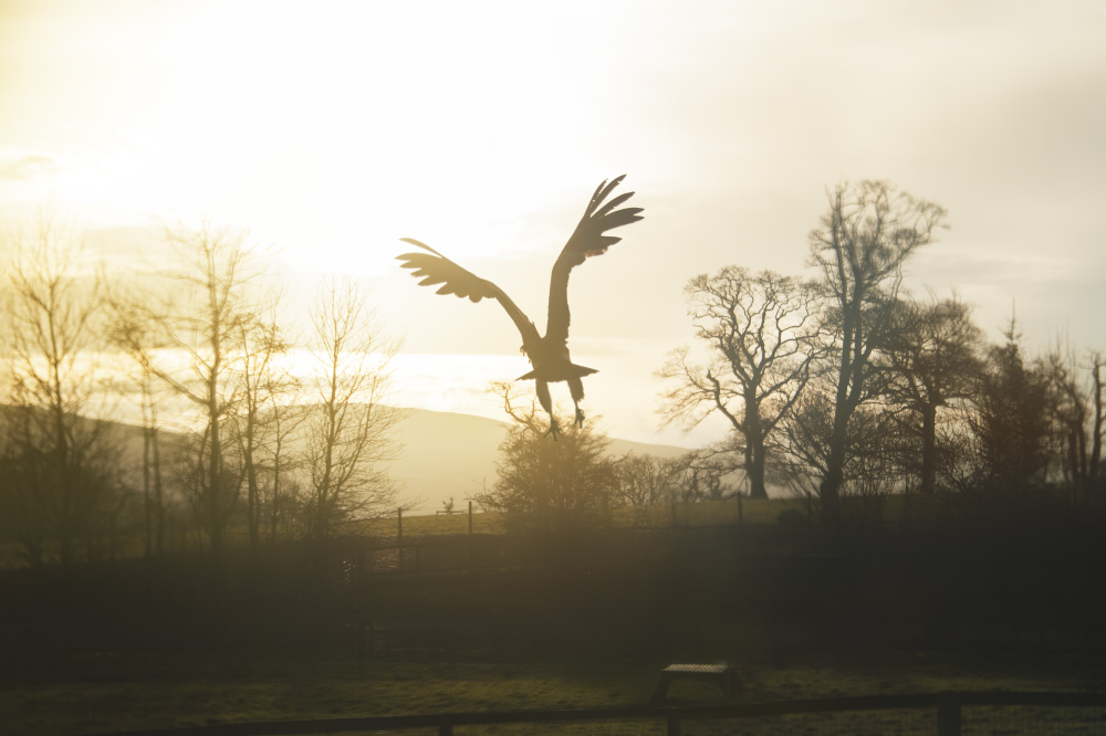 a feeling outside it