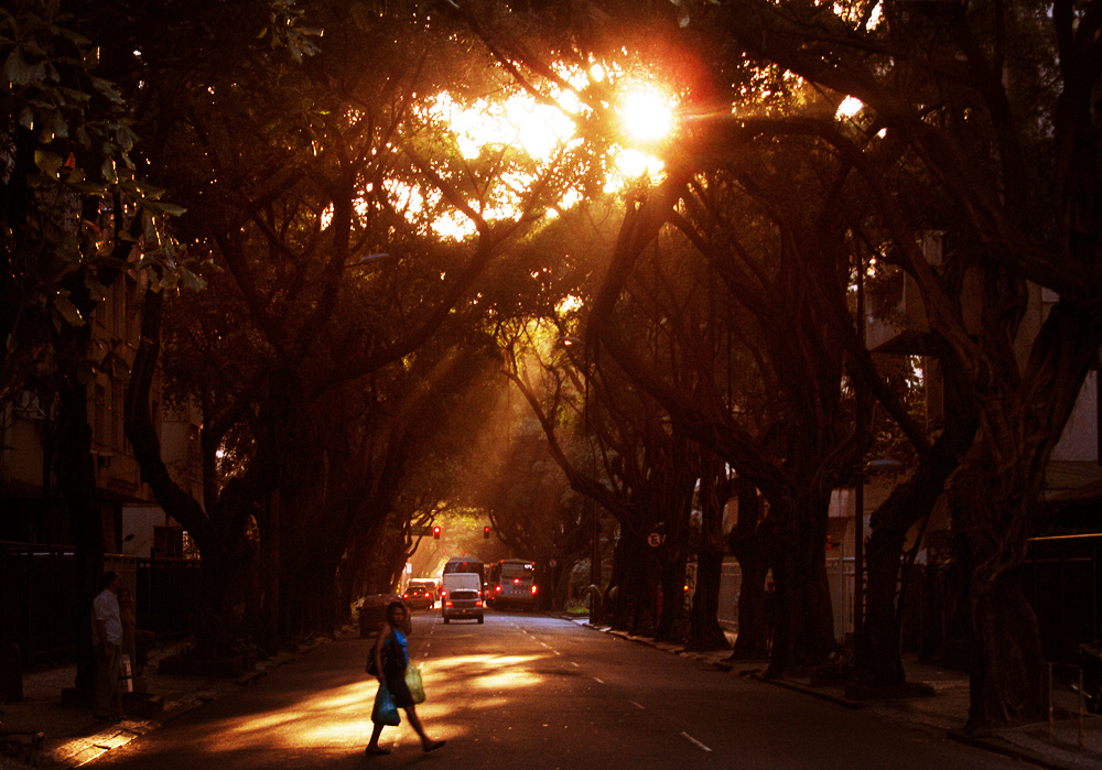 and the sun shines down on me