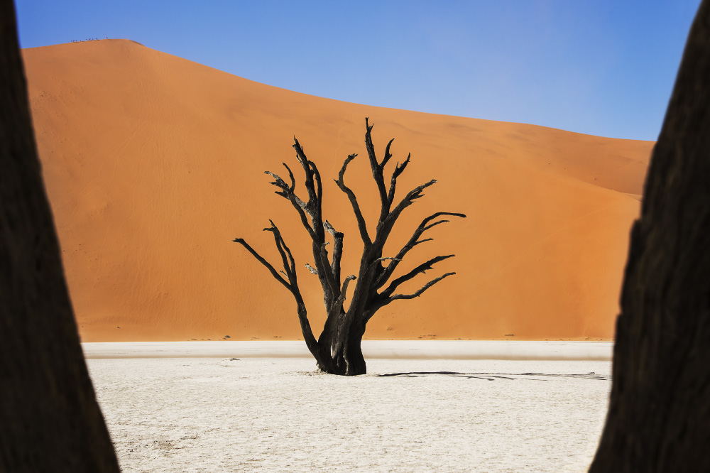 a piece of the puzzle