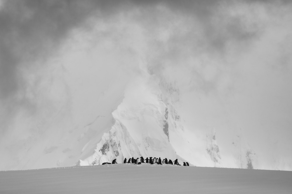 at the bottom of the world
