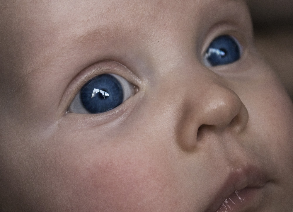 baby blue eyes