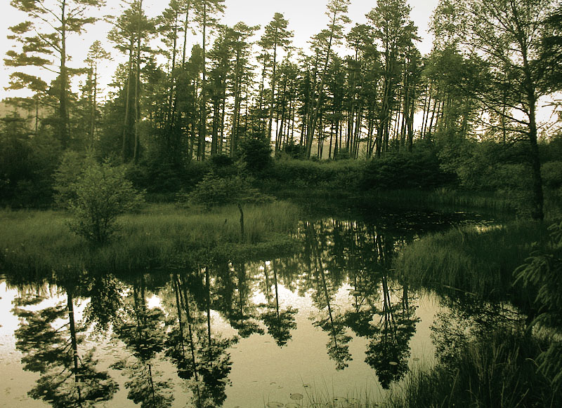 before i get eaten alive