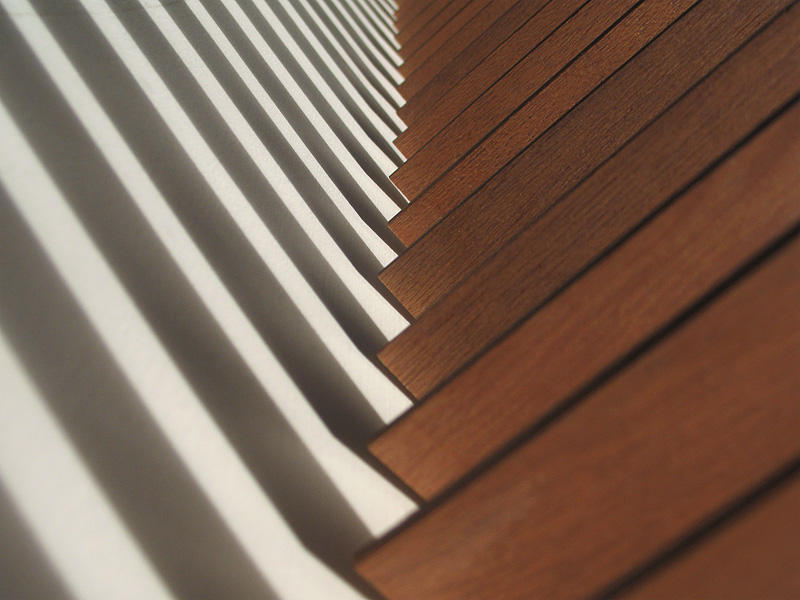 blind shadow