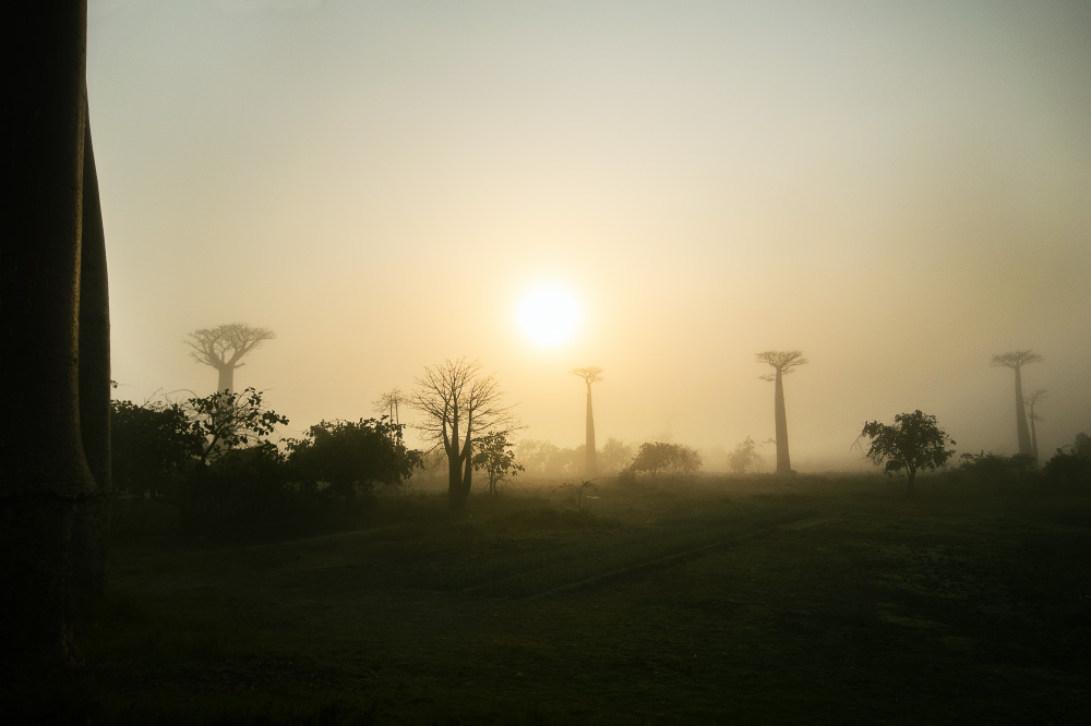 burn the edges off the day