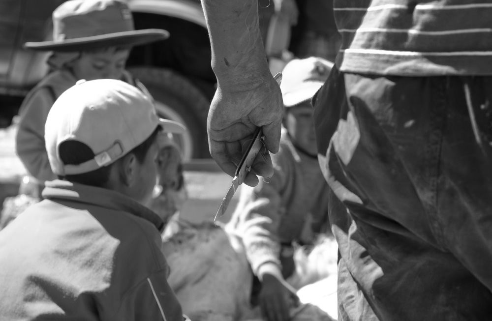 closer comes the screaming knife