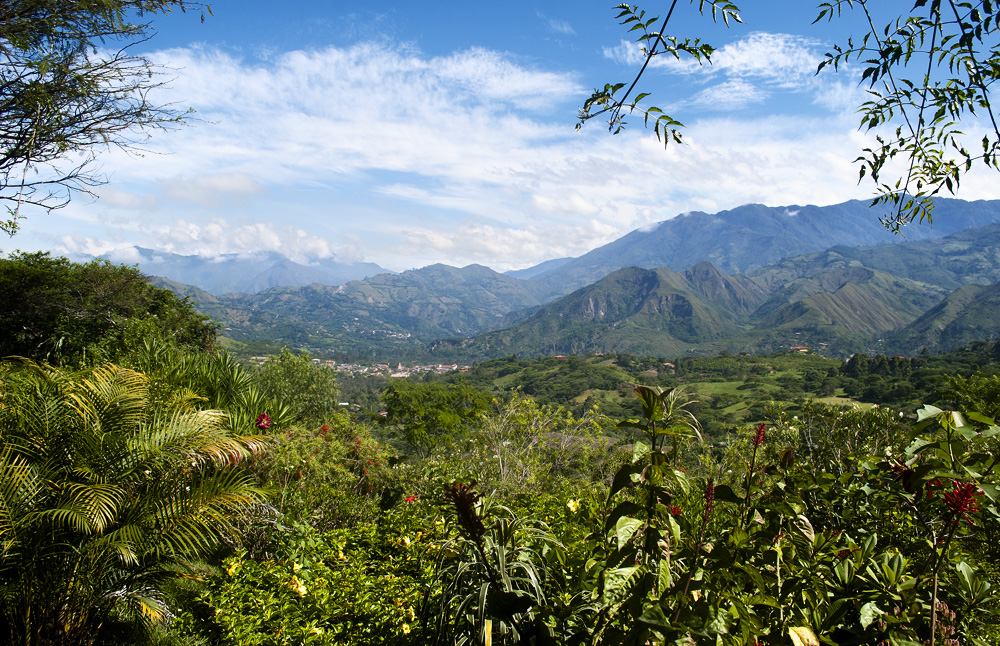 count every beautiful thing we can see