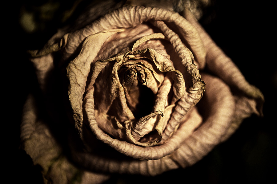 every beginning has an end