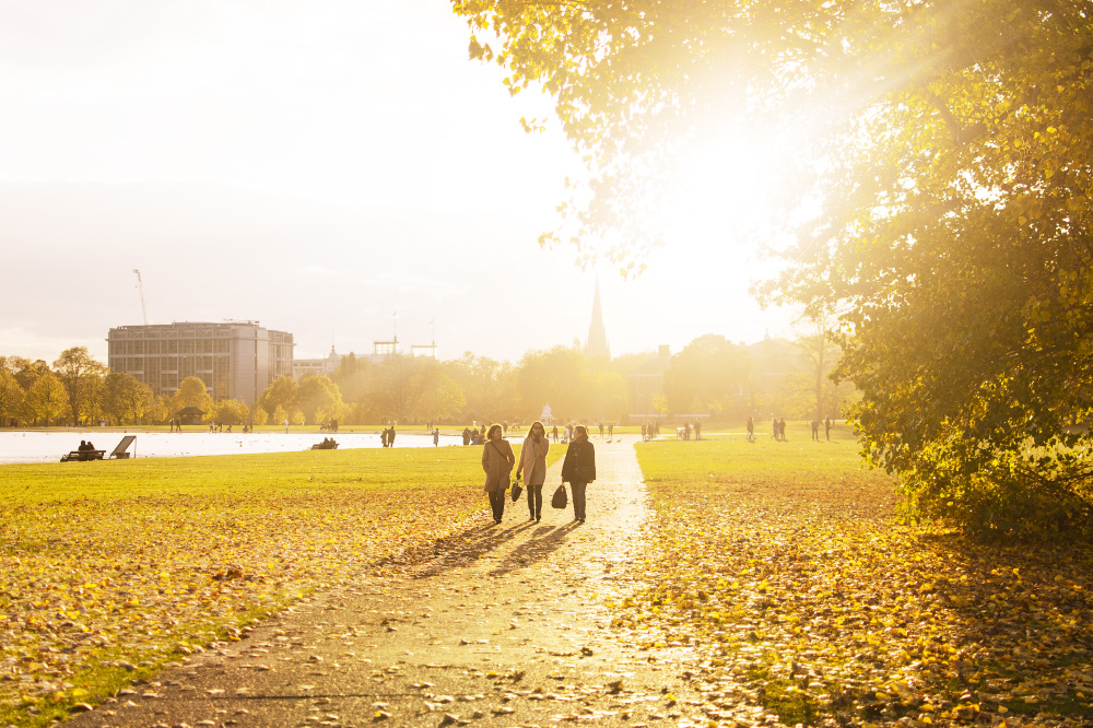 don't wake me up and tell me that i'm dreaming