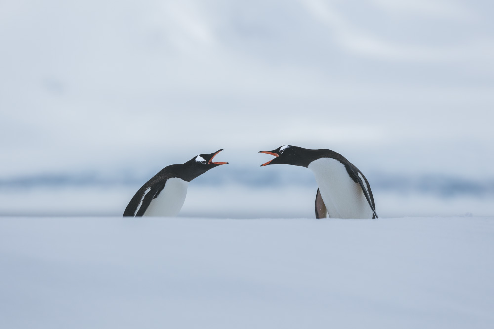 every time you think you're talking, you're just moving your mouth