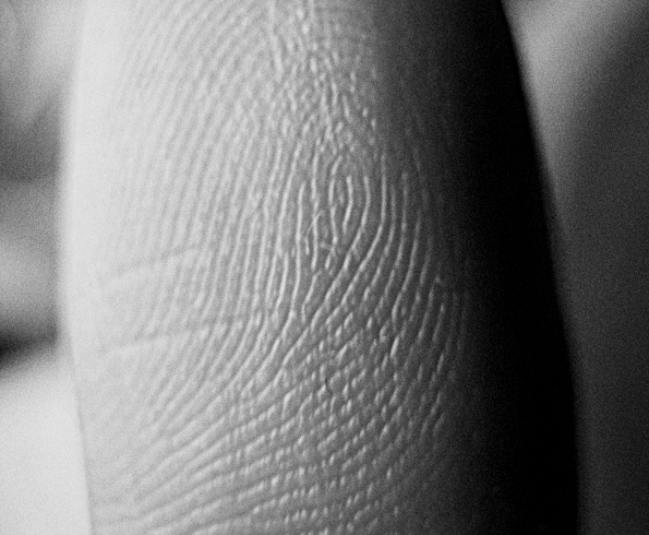 fingerprint
