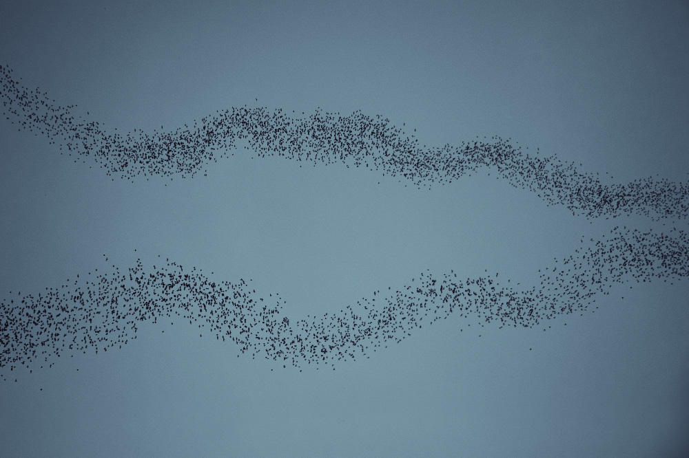 form some kind of code