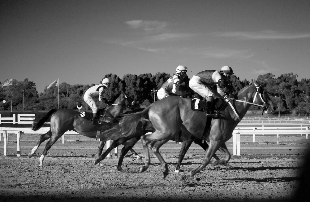 gran premio nacional