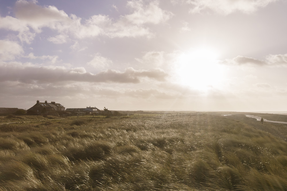 grow up and blow away