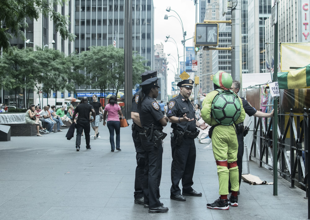 heroes in a half shell