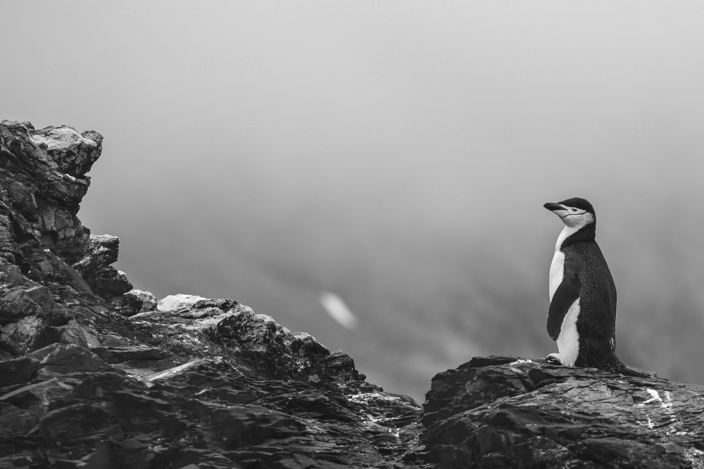 if i'm stuck out here alone