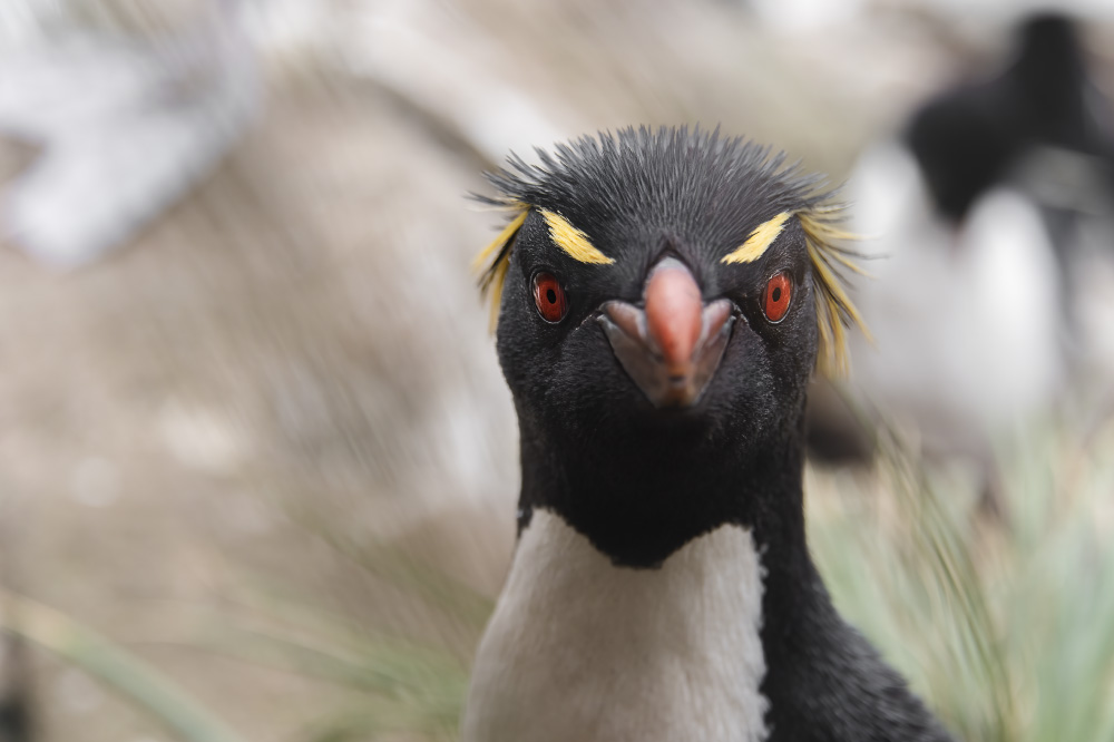 if you're feeling sinister