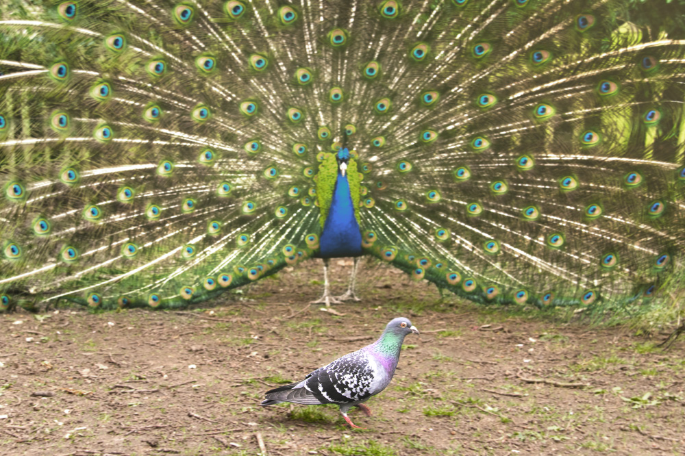 i'll still destroy you