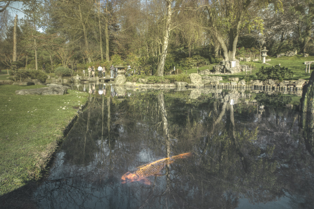 in a veil of great disguises