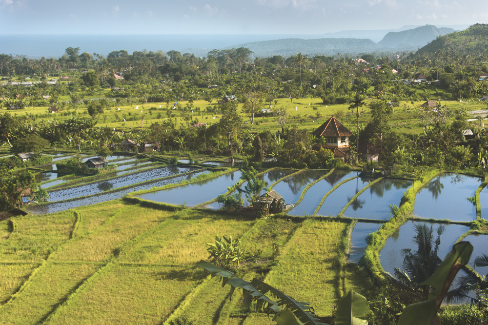 in the lost and found