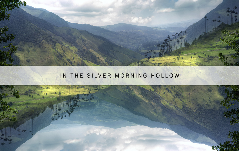 in the silver morning hollow
