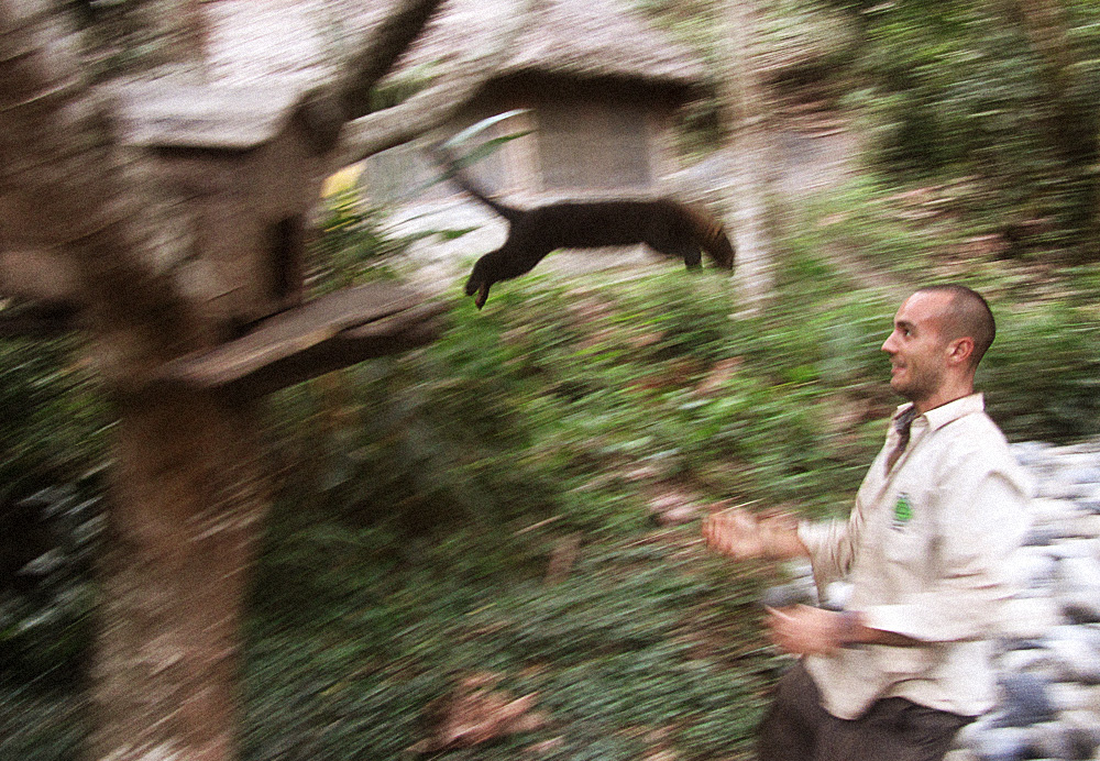 is it a bird? is it a plane?