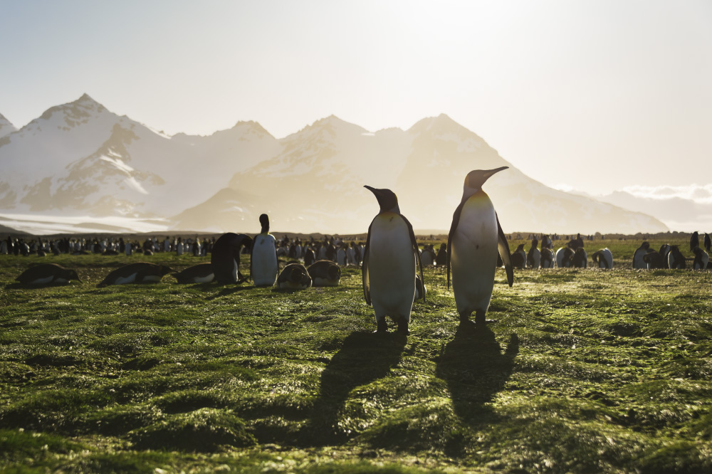 it's coming straight back for us