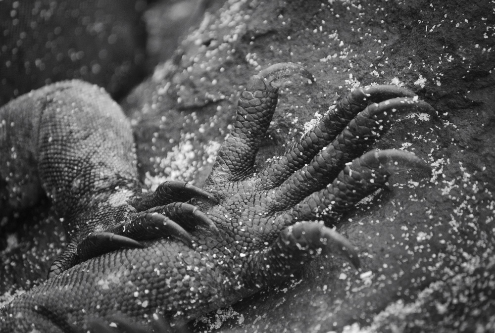 i won't let you go away this time