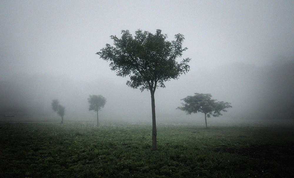 let loss be your guide