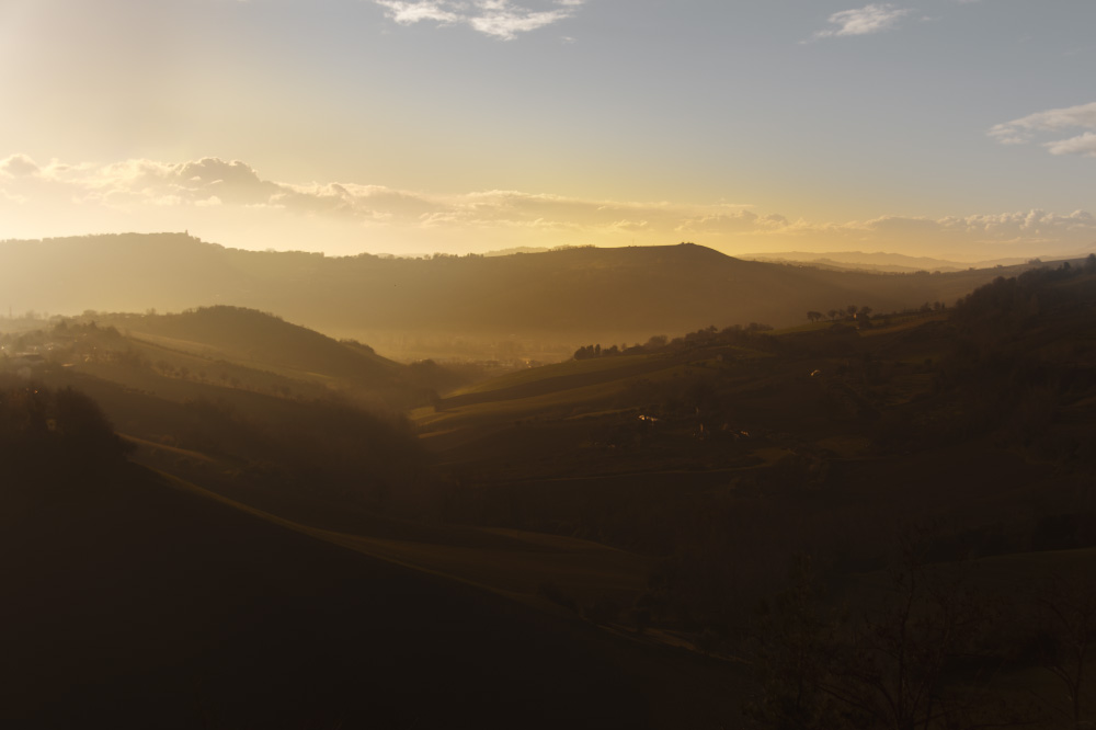 lured by lilting melody