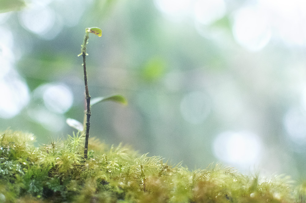 may you never feel this alone