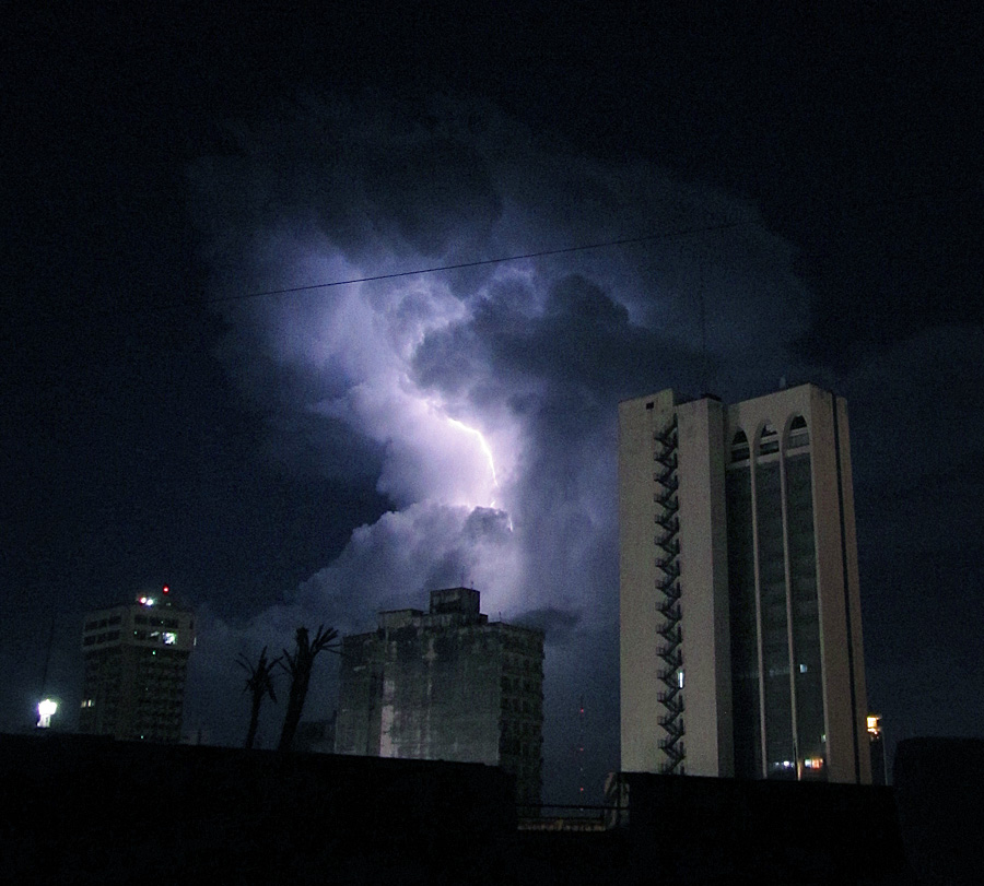 planta alta tormenta