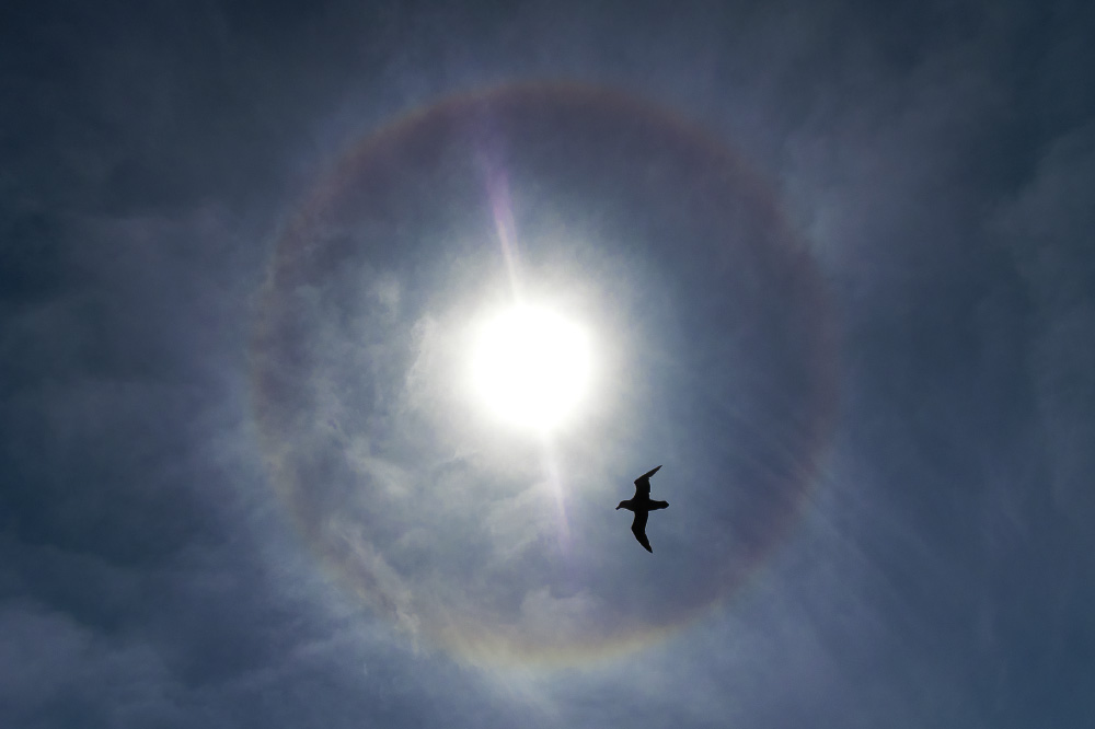 pull me in to your perfect circle