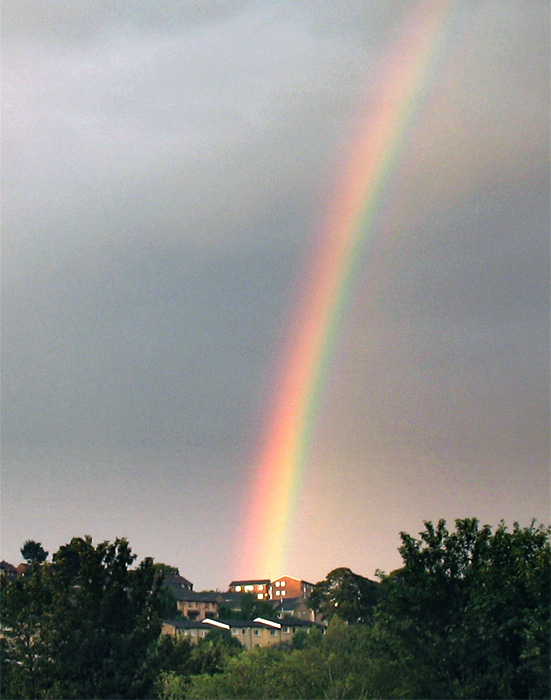 rainbow
