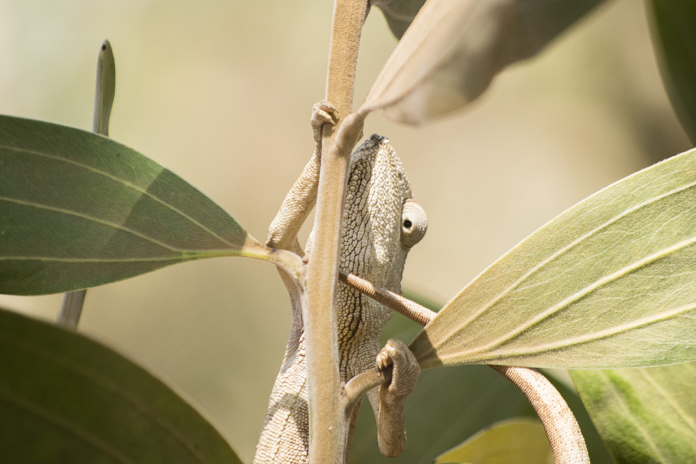 so i can climb right back