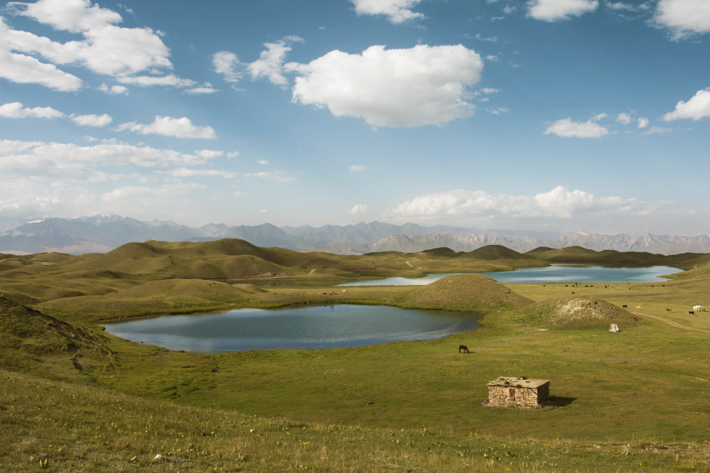 somewhere no one's expecting