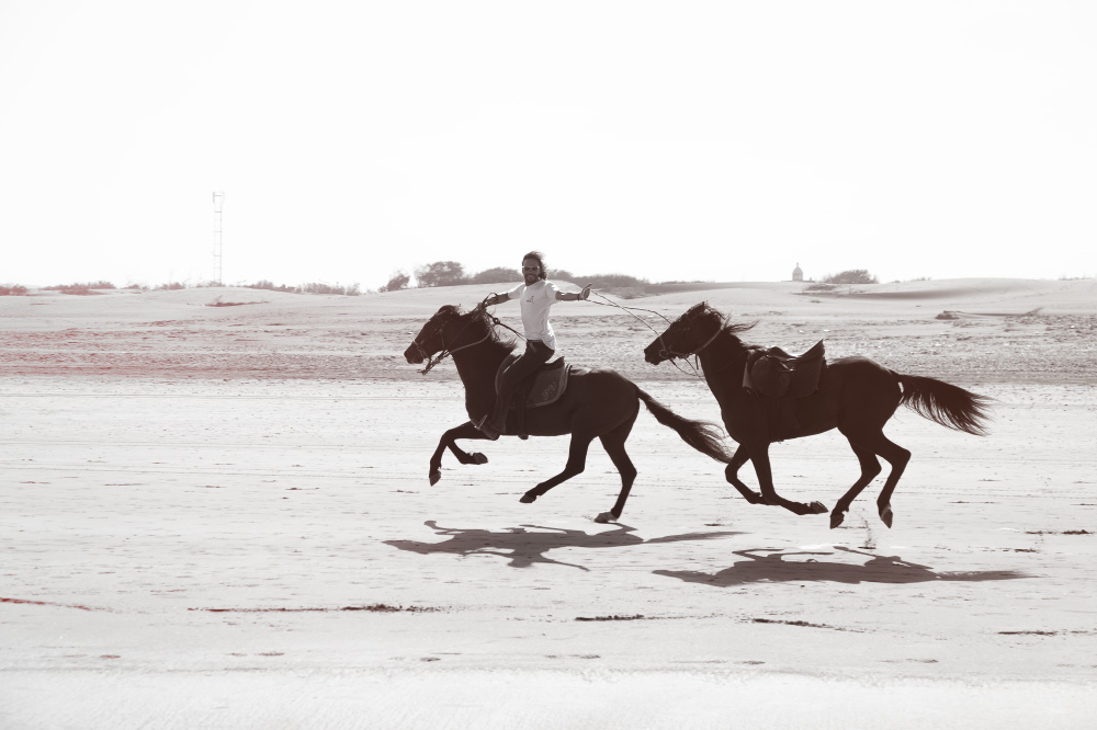 speed kills but beauty lives forever