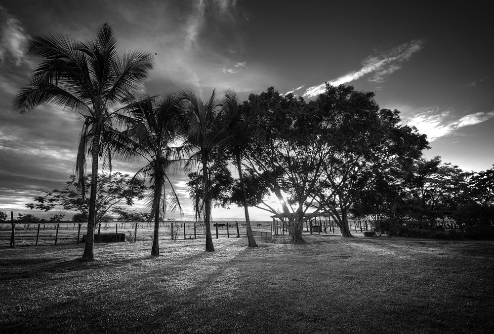 the day when it's dying