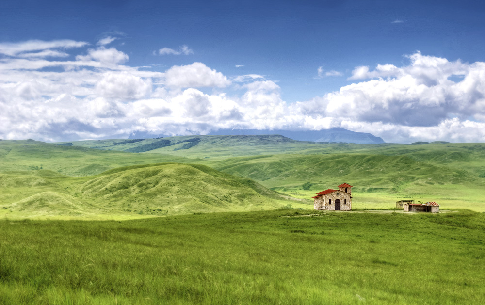 the greens of summers