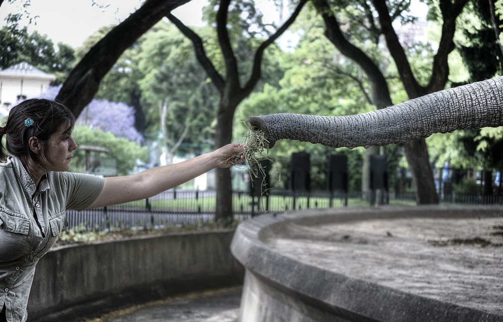 the hand that feeds