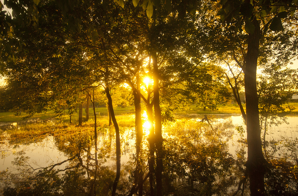 there's happiness in death