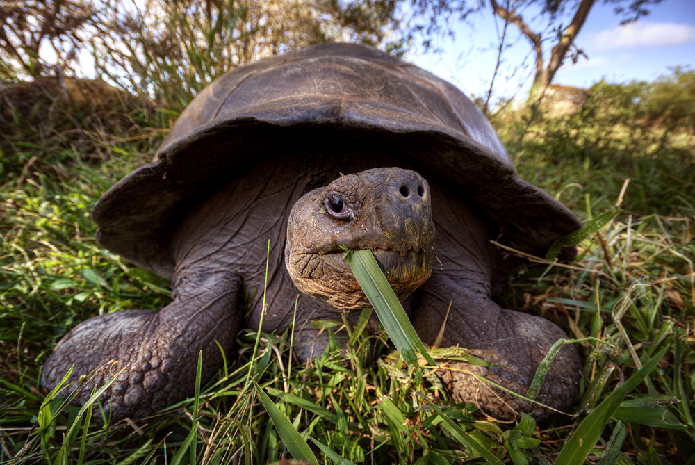 there's mysteries inside