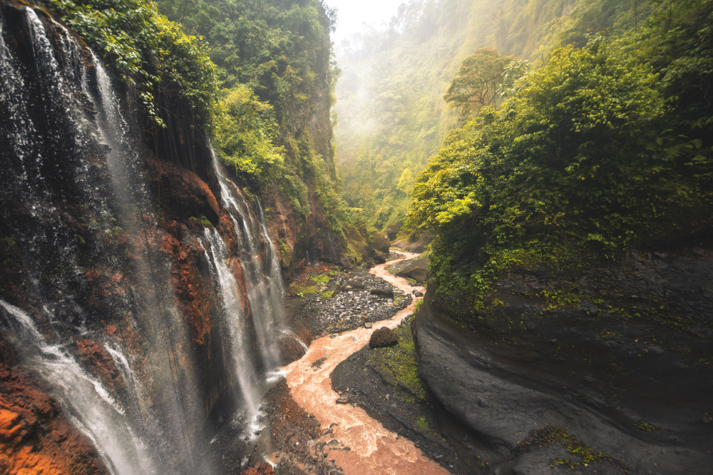 the way the water leads