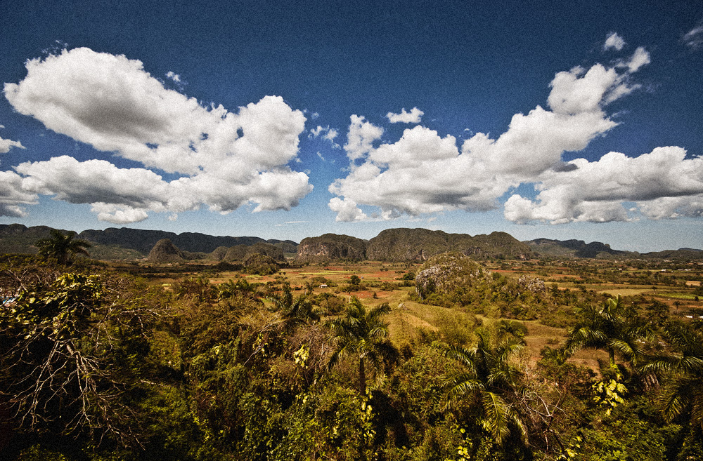 they can't buy the sunshine