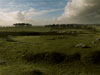 arbor low