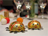 chocolate-bugs