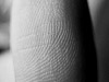 fingerprint