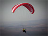 paraglider
