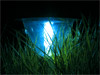 solar-grass