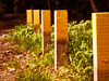 yellow-posts